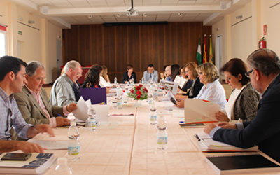 Secretarios/as e Interventores/as de la Campiña Sur celebran una jornada formativa en Moriles para analizar la nueva Ley de Contratos del Sector Público